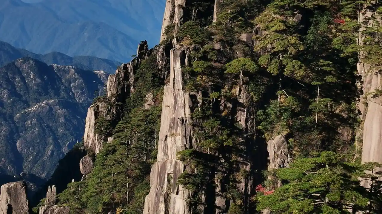快播影视资讯怎么看及替代选择