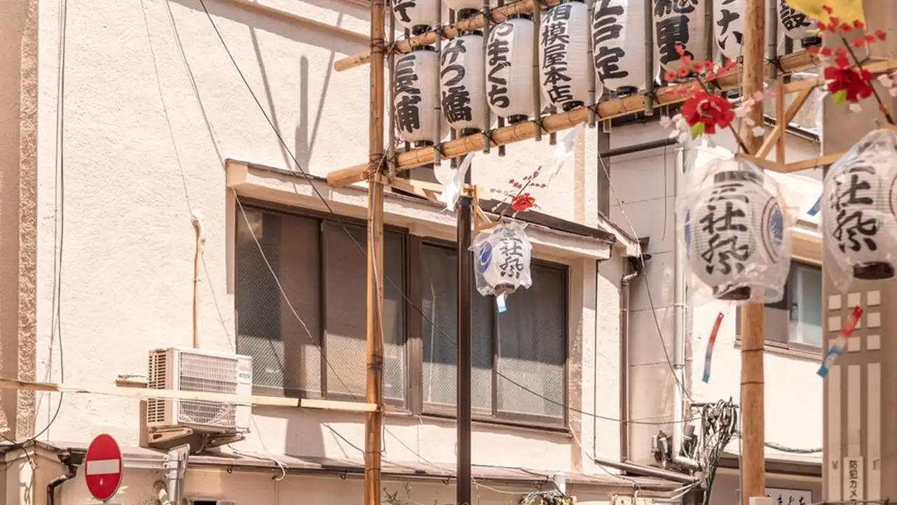 透明内裤能见P毛的实际穿着效果与场景选择